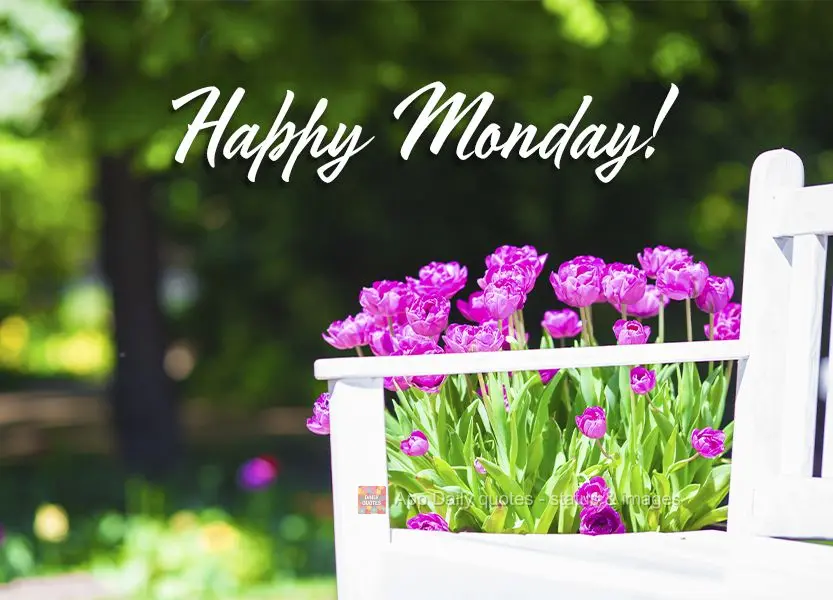 Feliz Segunda-feira!