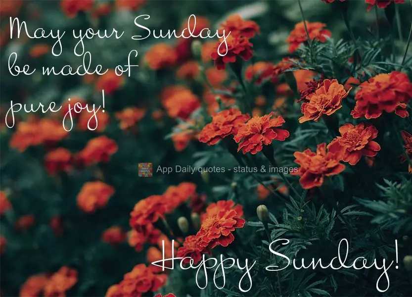 May your Sunday be made of pure joy! Happy Sunday!