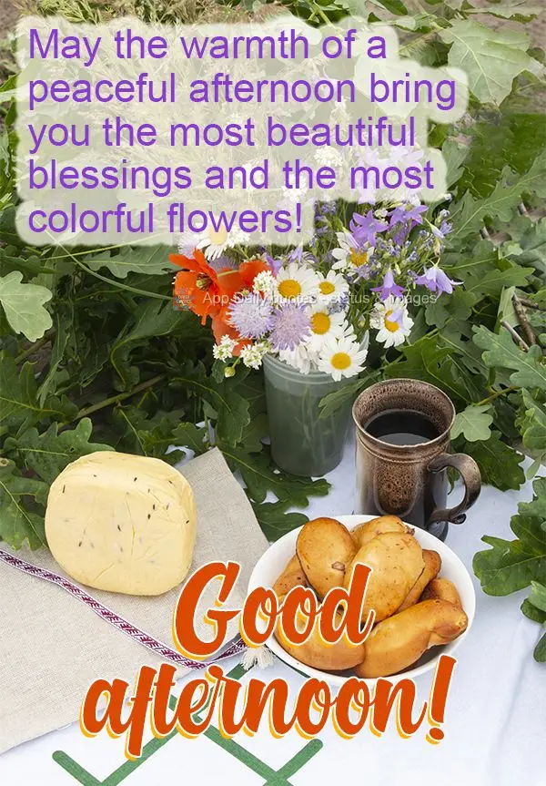 May the warmth of a peaceful afternoon bring you the most beautiful blessings and the most colorful flowers! Good afternoon!