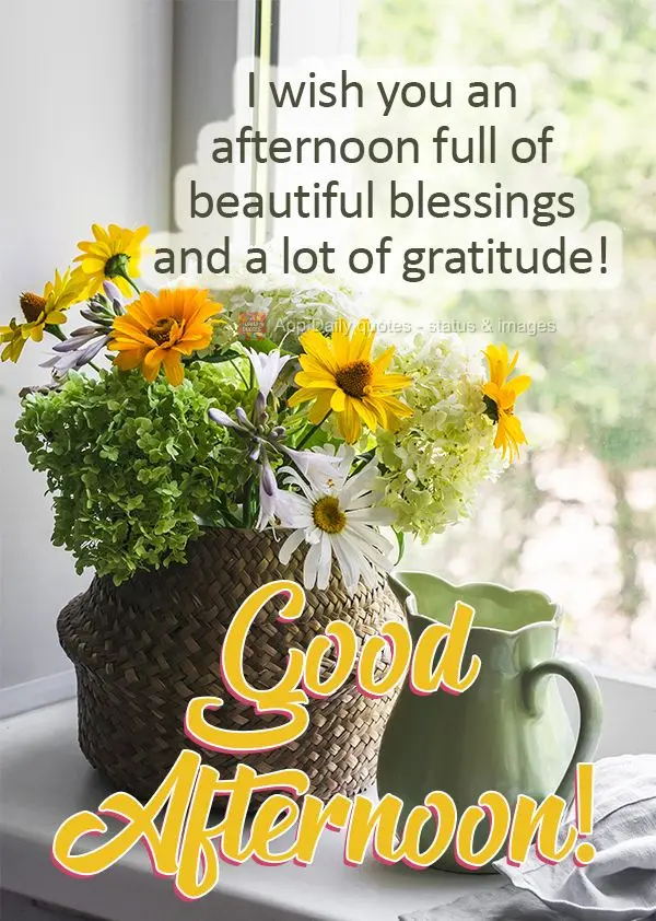 I wish you an afternoon full of beautiful blessings and a lot of gratitude! Good afternoon!