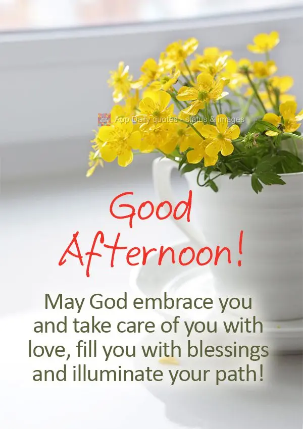 Que Deus possa lhe abraçar e cuidar de você com carinho, te encher de bênçãos e iluminar o seu caminho! Boa tarde!