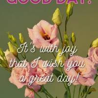 É com alegria que eu desejo a você um feliz dia! Bom dia!