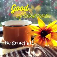 Seja grato por esta linda tarde! Boa tarde!