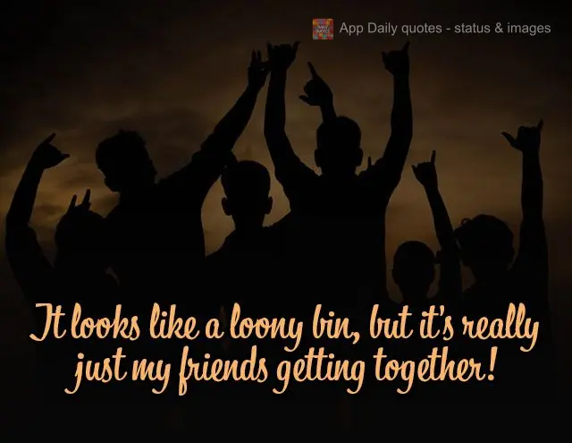 Parece um hospício, mas são só meus amigos reunidos!
