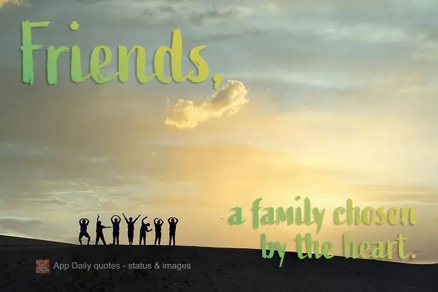  uma família que o coração escolhe.
 Amigos,