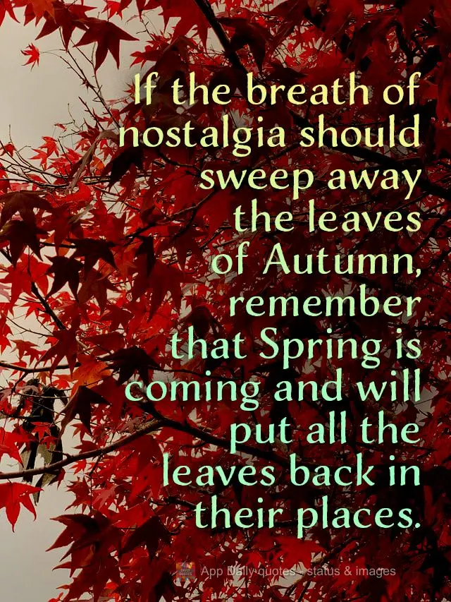 If the breath of nostalgia should sweep away the leaves of Autumn, remember that Spring is coming and will put all the leaves back in their places.