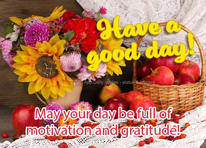 Que seu dia seja de motivação e gratidão! Bom dia!