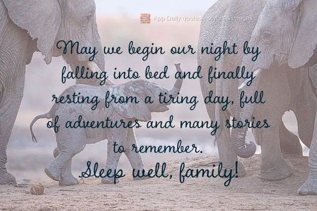 Que comece a noite para cairmos na cama e finalmente descansarmos de um dia esgotante, cheio de aventuras e muitas histórias para recordar. Durmam bem, ...