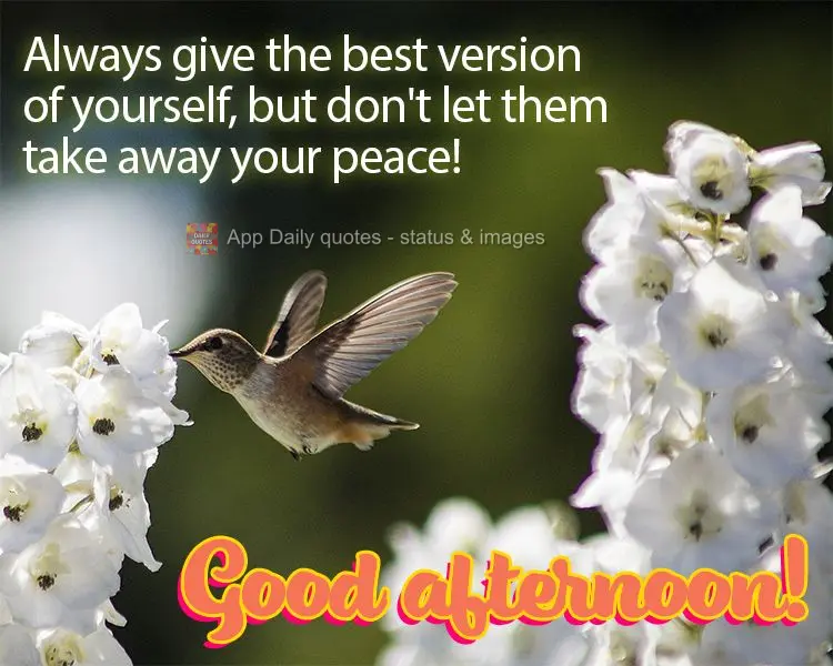 Ofereça sempre a sua melhor versão mas não deixe que tirem a sua paz! Boa tarde!