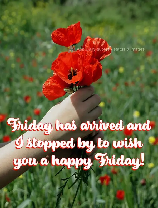 Friday has arrived, so I stopped by to wish you a happy Friday!