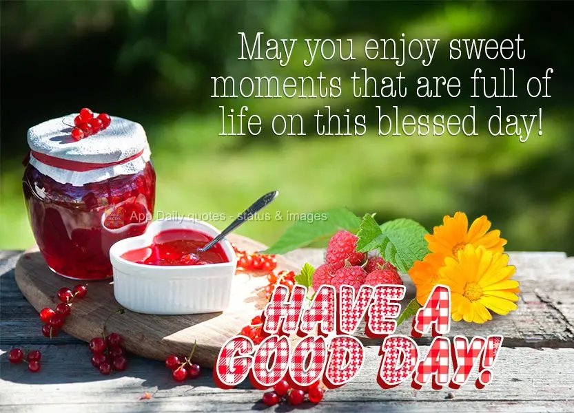 Que você possa desfrutar de momentos doces e cheios de vida neste dia abençoado! Bom dia!