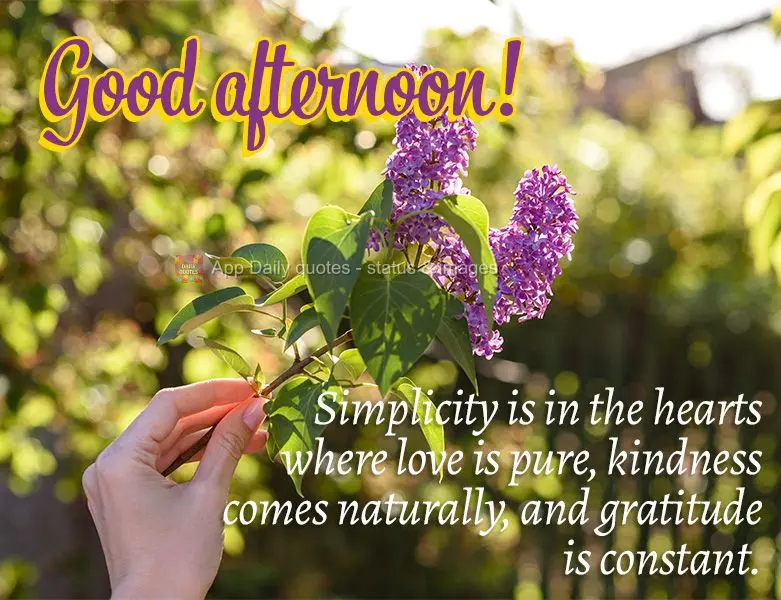 Simplicity is in the hearts where love is pure, kindness comes naturally, and gratitude is constant. Good afternoon!