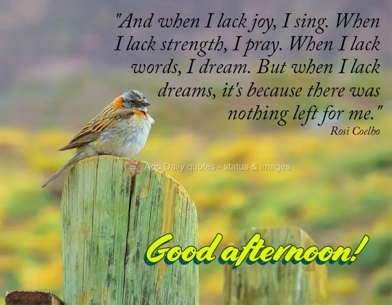 "And when I lack joy, I sing. When I lack strength, I pray. When I lack words, I dream. But when I lack dreams, it's because there was nothing left for m...