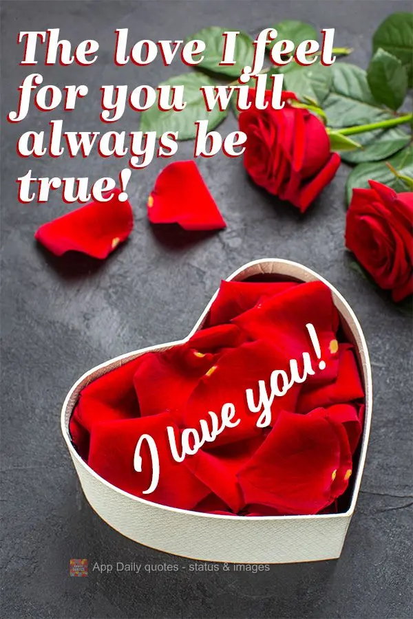 The love I feel for you will always be true! I love you!