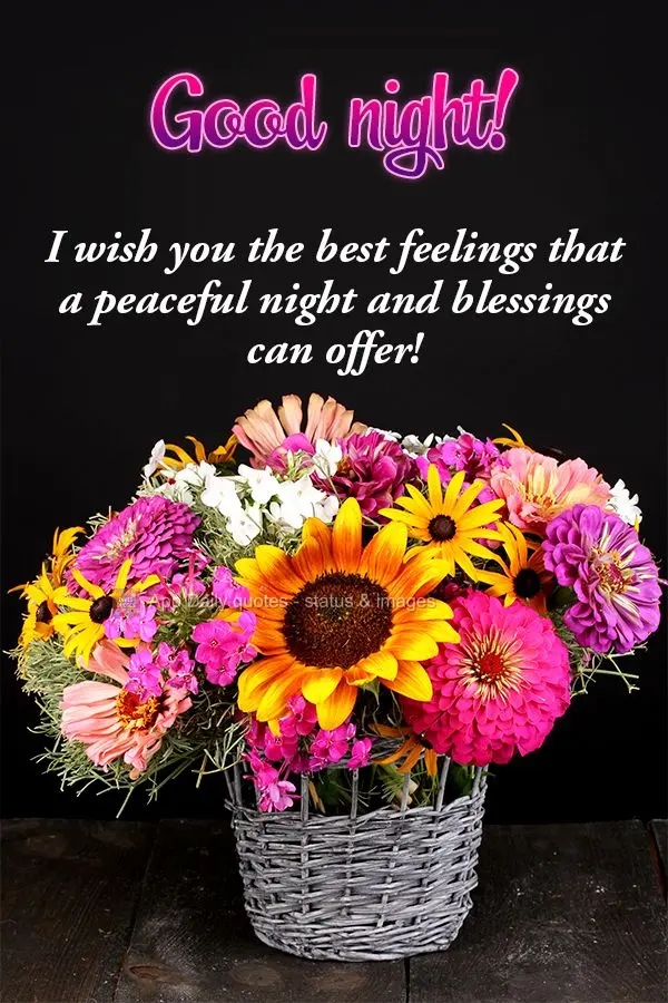 Desejo as melhores sensações que uma noite tranquila de paz e bênçãos possa oferecer! Boa noite!