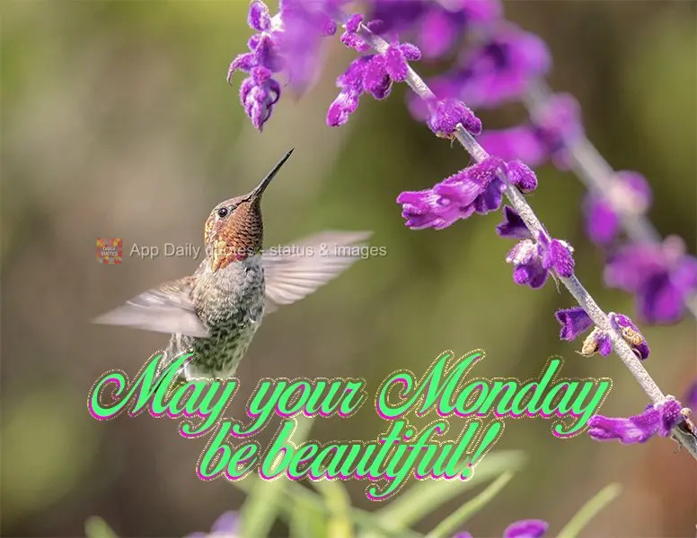 May your Monday be beautiful!