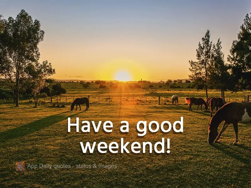 Have a good weekend!