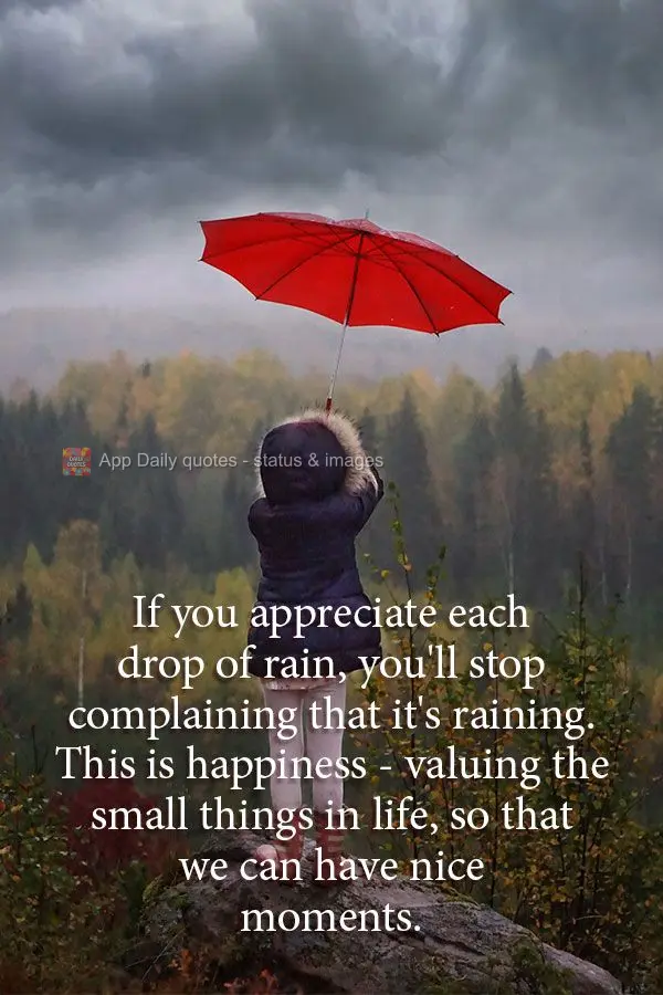 If you appreciate each drop of rain, you'll stop complaining that it's raining. This is happiness - valuing the small things in life, so that we can have...