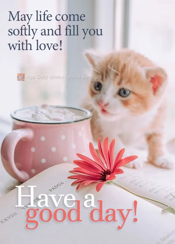 May life come softly and fill you with love! Have a good day!