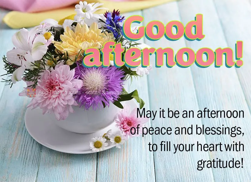 Que seja uma tarde de paz e bênçãos, para fazer o coração se encher de gratidão! Boa tarde!