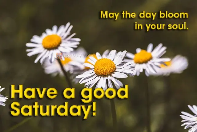 May the day blossom in your soul. Have a good Saturday!