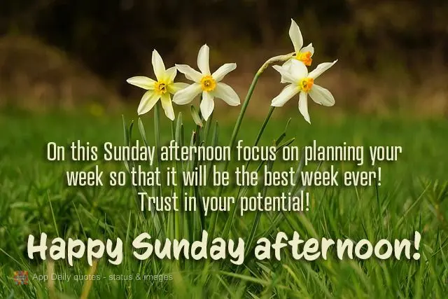 On this Sunday afternoon focus on planning your week so that it will be the best week ever! Trust in your potential! Happy Sunday afternoon!