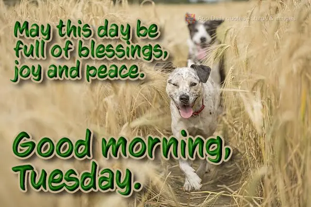 May this day be full of blessings, joy, and peace. Good morning, Tuesday.