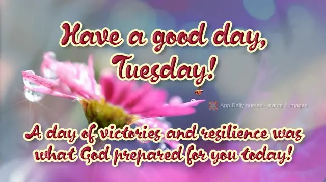  Um dia de vitórias e superação foi o que Deus preparou para hoje! 
 Bom dia, terça-feira!