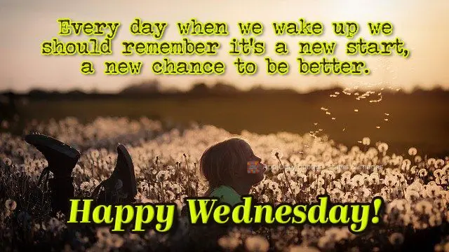 Every day when we wake up we should remember it's a new start, a new chance to be better. Happy Wednesday!
