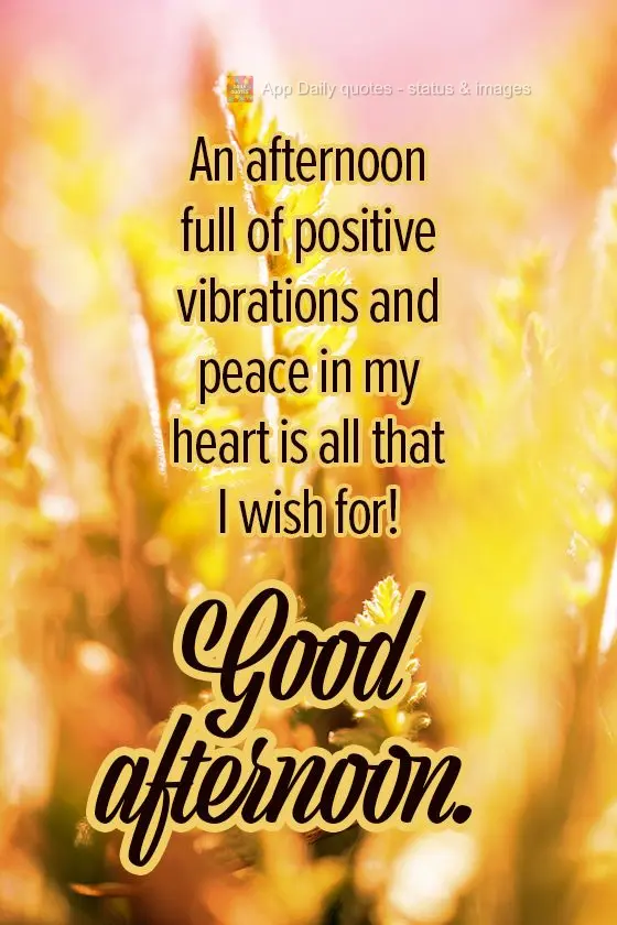 Uma tarde repleta de vibrações positivas e muita paz no coração, é tudo o que eu desejo! 
 Boa tarde. 