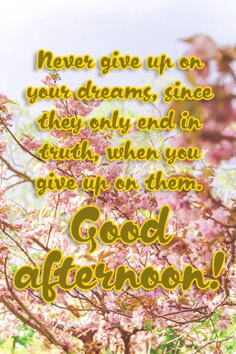 Nunca desista dos seus sonhos, pois eles só acabam na verdade, quando você desiste deles.  Boa Tarde! 