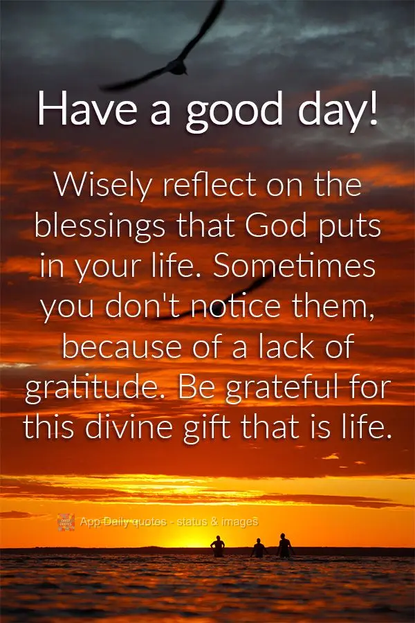 Contemple com sabedoria as bênçãos que Deus coloca na sua vida. Às vezes você não percebe, por falta de gratidão. Seja grato por essa dádiva divi...