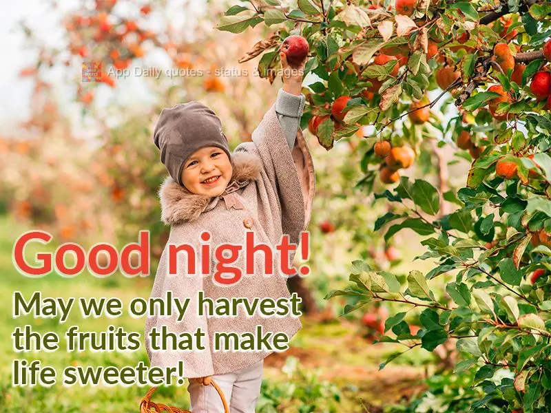 May we only harvest the fruits that make life sweeter! Good night!