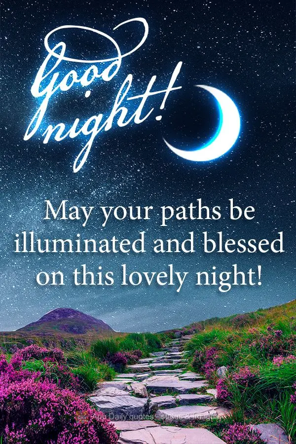 Que os seus caminhos sejam iluminados e abençoados nesta linda noite! Boa noite!