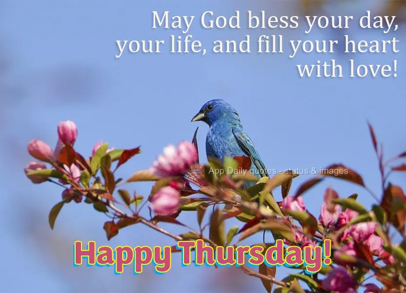 May God bless your day and your life, and fill your heart with love! Happy Thursday!