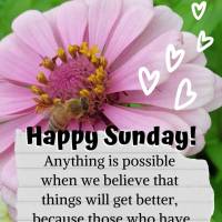 Tudo é possível quando a gente acredita que as coisas podem melhorar, quem tem fé sempre saberá continuar em frente! Feliz Domingo!