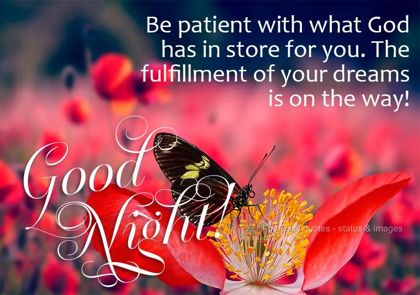 Tenha paciência com os que Deus tem para você, a realização de seus sonhos estão a caminho! Boa noite! 