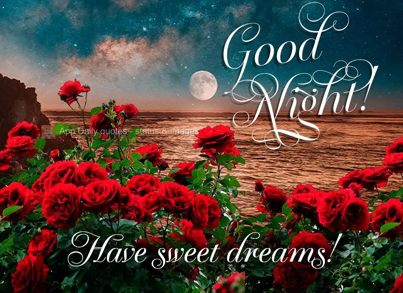 Have sweet dreams! Good night!