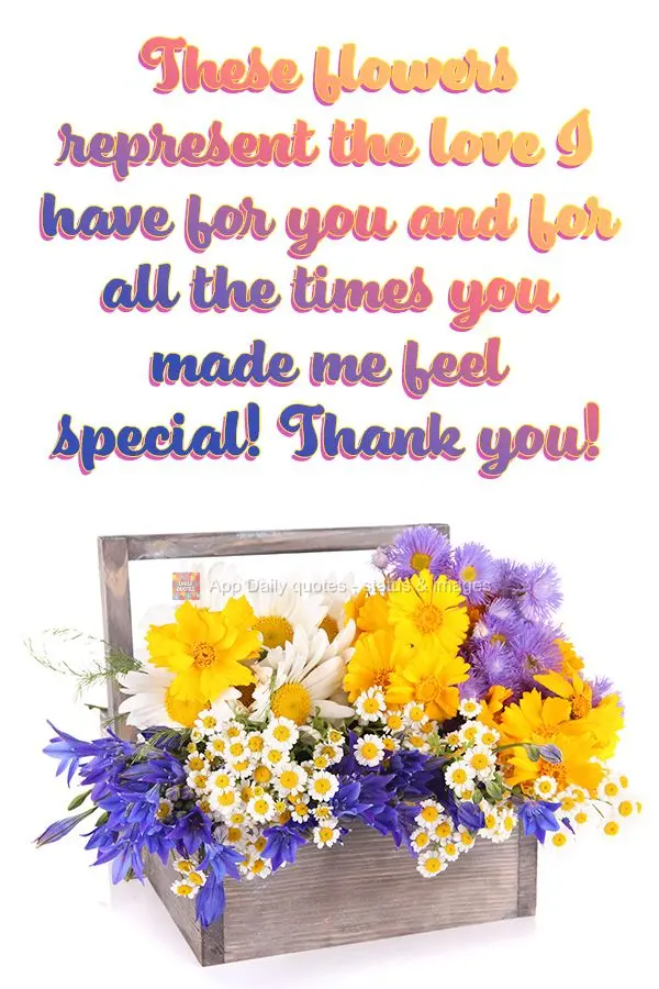 Essas flores representam o carinho que tenho por você e por todas as vezes que você me fez sentir especial! Obrigada!