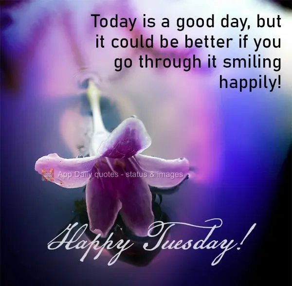 Today is a good day, but it could be better if you smile happily all day long! Happy Tuesday!