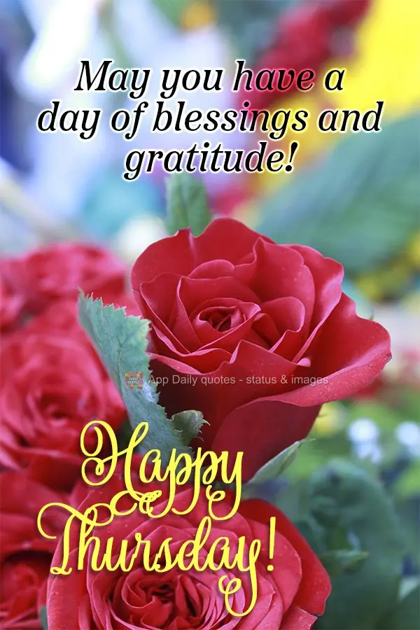 May you have a day of blessings and gratitude! Happy Thursday!