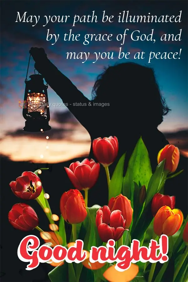 Que o seu caminho seja iluminado pelas graças de Deus e que você possa seguir em paz! Boa noite! 