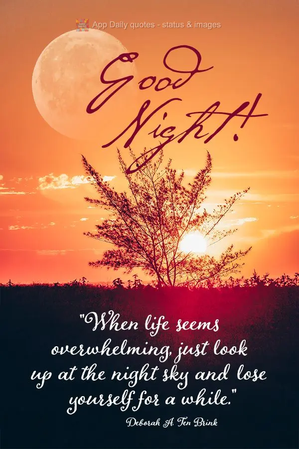 "When life seems overwhelming, just look up at the night sky and lose yourself for a while." Good night! Deborah A.Ten Brink