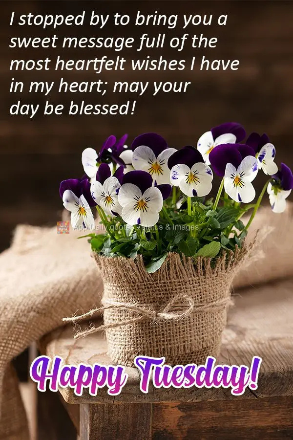 I stopped by to bring you a sweet message full of the most heartfelt wishes I have in my heart; may your day be blessed! Happy Tuesday!