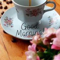 Manhã perfeita é aquela em que você acorda com paz no coração! Bom dia!