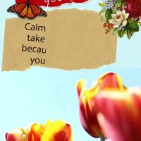 Acalma o teu coração e respira fundo, porque Deus te deu mais um dia! Bom dia!