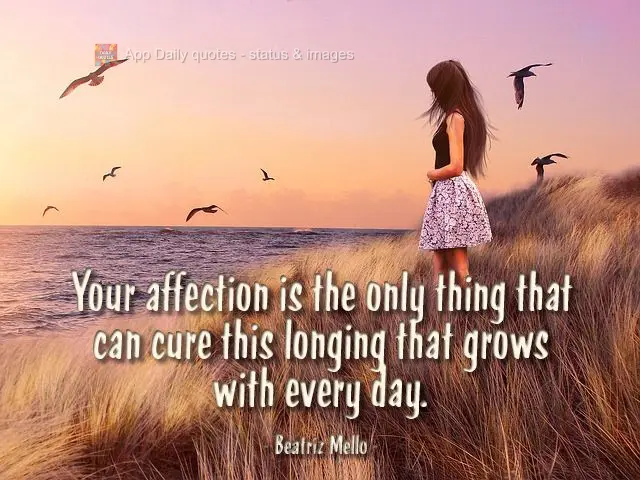 Your affection is the only thing that can cure this longing that grows every day. Beatriz Mello