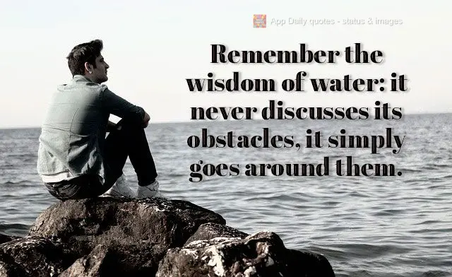 Remember the wisdom of water: it never debates its obstacles, it simply goes around them.