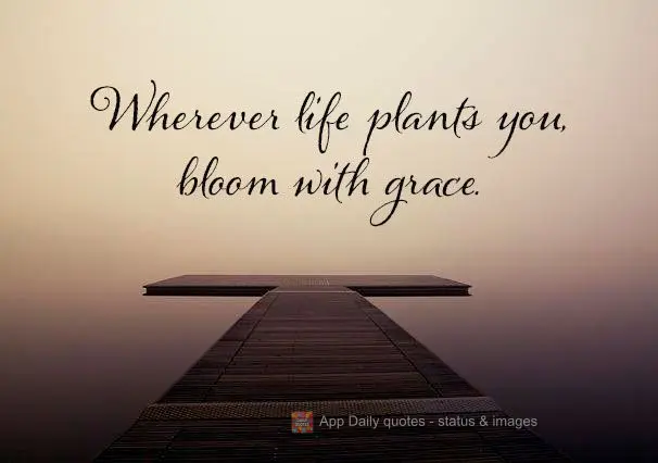 Wherever life plants you, bloom with grace.