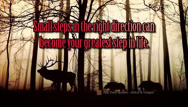 Small steps in the right direction can become the biggest leap of your life.